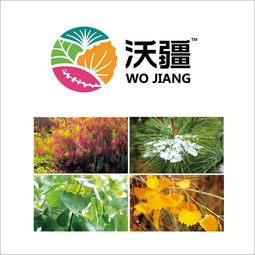 如何選定一個(gè)靠譜北京營銷策劃公司｜以福來品牌實(shí)戰(zhàn)經(jīng)驗(yàn)為例，升級你的全案戰(zhàn)略